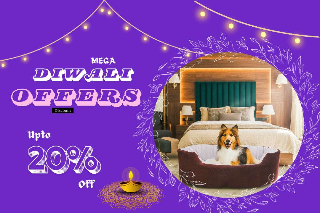Diwali Offers