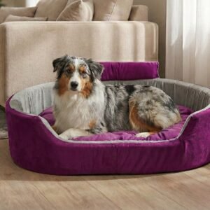Dog bed, Cat Bed, Pet bed, Soft dog bed, Orthopedic dog bed, Puppy bed, Chew Proof Dog bed, pet beds for dog crates, dog bed under 500, dog bed for winter, dog bed under 1,000, dog bed under 300, dog bed under 200, dog bed under 400
