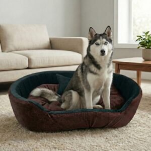 Dog bed, Cat Bed, Pet bed, Soft dog bed, Orthopedic dog bed, Puppy bed, Chew Proof Dog bed, pet beds for dog crates, dog bed under 500, dog bed for winter, dog bed under 1,000, dog bed under 300, dog bed under 200, dog bed under 400