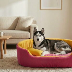 Dog bed, Cat Bed, Pet bed, Soft dog bed, Orthopedic dog bed, Puppy bed, Chew Proof Dog bed, pet beds for dog crates, dog bed under 500, dog bed for winter, dog bed under 1,000, dog bed under 300, dog bed under 200, dog bed under 400