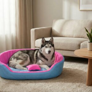 Dog bed, Cat Bed, Pet bed, Soft dog bed, Orthopedic dog bed, Puppy bed, Chew Proof Dog bed, pet beds for dog crates, dog bed under 500, dog bed for winter, dog bed under 1,000, dog bed under 300, dog bed under 200, dog bed under 400