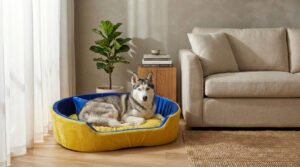 Dog bed, Cat Bed, Pet bed, Soft dog bed, Orthopedic dog bed, Puppy bed, Chew Proof Dog bed, pet beds for dog crates, dog bed under 500, dog bed for winter, dog bed under 1,000, dog bed under 300, dog bed under 200, dog bed under 400
