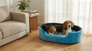 Dog bed, Cat Bed, Pet bed, Soft dog bed, Orthopedic dog bed, Puppy bed, Chew Proof Dog bed, pet beds for dog crates, dog bed under 500, dog bed for winter, dog bed under 1,000, dog bed under 300, dog bed under 200, dog bed under 400