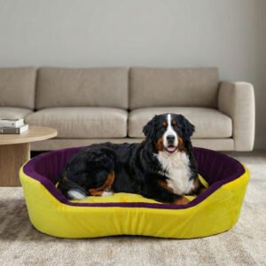 Dog bed, Cat Bed, Pet bed, Soft dog bed, Orthopedic dog bed, Puppy bed, Chew Proof Dog bed, pet beds for dog crates, dog bed under 500, dog bed for winter, dog bed under 1,000, dog bed under 300, dog bed under 200, dog bed under 400