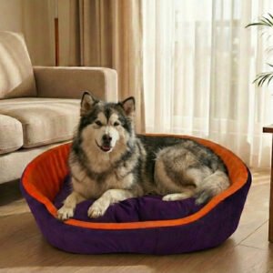Dog bed, Cat Bed, Pet bed, Soft dog bed, Orthopedic dog bed, Puppy bed, Chew Proof Dog bed, pet beds for dog crates, dog bed under 500, dog bed for winter, dog bed under 1,000, dog bed under 300, dog bed under 200, dog bed under 400