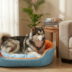 Dog bed, Cat Bed, Pet bed, Soft dog bed, Orthopedic dog bed, Puppy bed, Chew Proof Dog bed, pet beds for dog crates, dog bed under 500, dog bed for winter, dog bed under 1,000, dog bed under 300, dog bed under 200, dog bed under 400