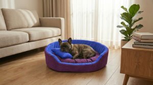 Dog bed, Cat Bed, Pet bed, Soft dog bed, Orthopedic dog bed, Puppy bed, Chew Proof Dog bed, pet beds for dog crates, dog bed under 500, dog bed for winter, dog bed under 1,000, dog bed under 300, dog bed under 200, dog bed under 400