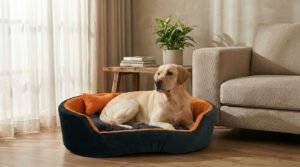 Dog bed, Cat Bed, Pet bed, Soft dog bed, Orthopedic dog bed, Puppy bed, Chew Proof Dog bed, pet beds for dog crates, dog bed under 500, dog bed for winter, dog bed under 1,000, dog bed under 300, dog bed under 200, dog bed under 400
