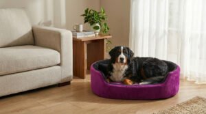 Dog bed, Cat Bed, Pet bed, Soft dog bed, Orthopedic dog bed, Puppy bed, Chew Proof Dog bed, pet beds for dog crates, dog bed under 500, dog bed for winter, dog bed under 1,000, dog bed under 300, dog bed under 200, dog bed under 400