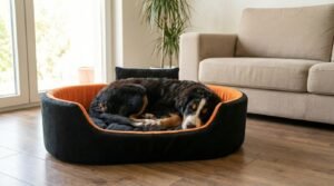 Dog bed, Cat Bed, Pet bed, Soft dog bed, Orthopedic dog bed, Puppy bed, Chew Proof Dog bed, pet beds for dog crates, dog bed under 500, dog bed for winter, dog bed under 1,000, dog bed under 300, dog bed under 200, dog bed under 400