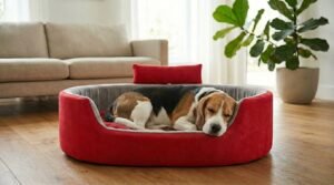 Dog bed, Cat Bed, Pet bed, Soft dog bed, Orthopedic dog bed, Puppy bed, Chew Proof Dog bed, pet beds for dog crates, dog bed under 500, dog bed for winter, dog bed under 1,000, dog bed under 300, dog bed under 200, dog bed under 400