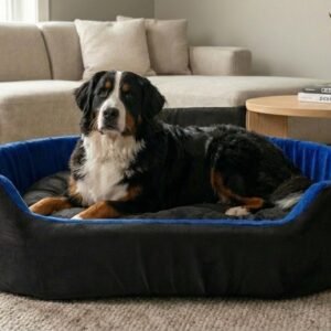 Dog bed, Cat Bed, Pet bed, Soft dog bed, Orthopedic dog bed, Puppy bed, Chew Proof Dog bed, pet beds for dog crates, dog bed under 500, dog bed for winter, dog bed under 1,000, dog bed under 300, dog bed under 200, dog bed under 400