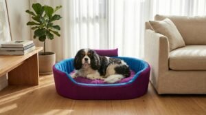 Dog bed, Cat Bed, Pet bed, Soft dog bed, Orthopedic dog bed, Puppy bed, Chew Proof Dog bed, pet beds for dog crates, dog bed under 500, dog bed for winter, dog bed under 1,000, dog bed under 300, dog bed under 200, dog bed under 400