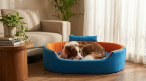 Dog bed, Cat Bed, Pet bed, Soft dog bed, Orthopedic dog bed, Puppy bed, Chew Proof Dog bed, pet beds for dog crates, dog bed under 500, dog bed for winter, dog bed under 1,000, dog bed under 300, dog bed under 200, dog bed under 400