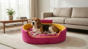 Dog bed, Cat Bed, Pet bed, Soft dog bed, Orthopedic dog bed, Puppy bed, Chew Proof Dog bed, pet beds for dog crates, dog bed under 500, dog bed for winter, dog bed under 1,000, dog bed under 300, dog bed under 200, dog bed under 400