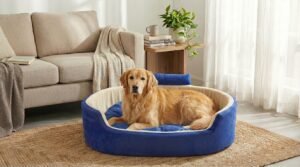 Dog bed, Cat Bed, Pet bed, Soft dog bed, Orthopedic dog bed, Puppy bed, Chew Proof Dog bed, pet beds for dog crates, dog bed under 500, dog bed for winter, dog bed under 1,000, dog bed under 300, dog bed under 200, dog bed under 400