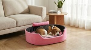 Dog bed, Cat Bed, Pet bed, Soft dog bed, Orthopedic dog bed, Puppy bed, Chew Proof Dog bed, pet beds for dog crates, dog bed under 500, dog bed for winter, dog bed under 1,000, dog bed under 300, dog bed under 200, dog bed under 400