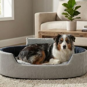 Dog bed, Cat Bed, Pet bed, Soft dog bed, Orthopedic dog bed, Puppy bed, Chew Proof Dog bed, pet beds for dog crates, dog bed under 500, dog bed for winter, dog bed under 1,000, dog bed under 300, dog bed under 200, dog bed under 400