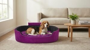 Dog bed, Cat Bed, Pet bed, Soft dog bed, Orthopedic dog bed, Puppy bed, Chew Proof Dog bed, pet beds for dog crates, dog bed under 500, dog bed for winter, dog bed under 1,000, dog bed under 300, dog bed under 200, dog bed under 400
