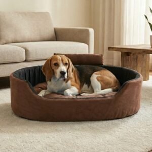 Dog bed, Cat Bed, Pet bed, Soft dog bed, Orthopedic dog bed, Puppy bed, Chew Proof Dog bed, pet beds for dog crates, dog bed under 500, dog bed for winter, dog bed under 1,000, dog bed under 300, dog bed under 200, dog bed under 400