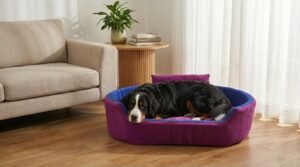 Dog bed, Cat Bed, Pet bed, Soft dog bed, Orthopedic dog bed, Puppy bed, Chew Proof Dog bed, pet beds for dog crates, dog bed under 500, dog bed for winter, dog bed under 1,000, dog bed under 300, dog bed under 200, dog bed under 400