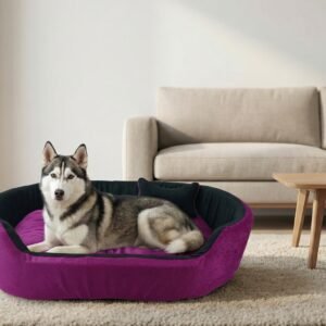 Dog bed, Cat Bed, Pet bed, Soft dog bed, Orthopedic dog bed, Puppy bed, Chew Proof Dog bed, pet beds for dog crates, dog bed under 500, dog bed for winter, dog bed under 1,000, dog bed under 300, dog bed under 200, dog bed under 400