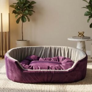 dog bed, premium dog bed, orthopedic dog bed, soft dog bed, pet bed for dogs, comfortable dog bed, washable dog bed, dog bed with cushion, premium orthopedic dog bed for large dogs, soft and comfortable dog bed with cushion, durable dog bed with PU foam support, luxury pet bed for small and medium dogs, breathable dog bed for summer and winter, stylish modern dog bed for home, lightweight dog bed easy to carry, dog bed with bone shape pillow, buy dog bed online India, best dog bed for home use, affordable premium dog bed, high quality pet bed India, dog bed under budget, cozy dog bed, luxury pet comfort bed, soft plush dog bed, designer dog bed, pet sleeping bed, dog sofa bed, dog lounger bed, pet sofa bed, round dog bed, donut dog bed, calming dog bed, anti anxiety dog bed, raised edge dog bed, bolster dog bed, dog bed with side support, dog bed with high walls, puppy bed, small dog bed, medium dog bed, large dog bed, extra large dog bed, indoor dog bed, home pet bed, dog sleeping cushion, thick padded dog bed, fluffy dog bed, soft foam dog bed, PU foam dog bed, fiber filled dog bed, eco friendly dog bed, skin friendly dog bed, hypoallergenic dog bed, non toxic pet bed, durable pet bedding, long lasting dog bed, tear resistant dog bed, chew resistant dog bed, easy to clean dog bed, machine washable pet bed, removable cover dog bed, portable dog bed, travel dog bed, foldable dog bed, lightweight pet bed, luxury dog sofa, premium pet mattress, designer pet furniture, modern pet bed, aesthetic dog bed, comfortable pet mattress, pet relaxation bed, cozy pet nest, warm dog bed for winter, cool breathable dog bed for summer, all season dog bed, anti slip base dog bed, waterproof dog bed, indoor luxury pet bed, dog bed for crate, dog bed for living room, pet accessories dog bed, best selling dog bed, trending pet products, affordable pet bedding India, online pet supplies India