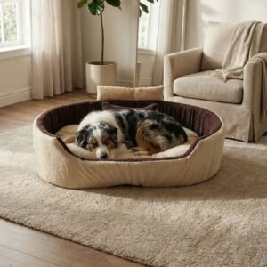 dog bed, premium dog bed, orthopedic dog bed, soft dog bed, pet bed for dogs, comfortable dog bed, washable dog bed, dog bed with cushion, premium orthopedic dog bed for large dogs, soft and comfortable dog bed with cushion, durable dog bed with PU foam support, luxury pet bed for small and medium dogs, breathable dog bed for summer and winter, stylish modern dog bed for home, lightweight dog bed easy to carry, dog bed with bone shape pillow, buy dog bed online India, best dog bed for home use, affordable premium dog bed, high quality pet bed India, dog bed under budget, cozy dog bed, luxury pet comfort bed, soft plush dog bed, designer dog bed, pet sleeping bed, dog sofa bed, dog lounger bed, pet sofa bed, round dog bed, donut dog bed, calming dog bed, anti anxiety dog bed, raised edge dog bed, bolster dog bed, dog bed with side support, dog bed with high walls, puppy bed, small dog bed, medium dog bed, large dog bed, extra large dog bed, indoor dog bed, home pet bed, dog sleeping cushion, thick padded dog bed, fluffy dog bed, soft foam dog bed, PU foam dog bed, fiber filled dog bed, eco friendly dog bed, skin friendly dog bed, hypoallergenic dog bed, non toxic pet bed, durable pet bedding, long lasting dog bed, tear resistant dog bed, chew resistant dog bed, easy to clean dog bed, machine washable pet bed, removable cover dog bed, portable dog bed, travel dog bed, foldable dog bed, lightweight pet bed, luxury dog sofa, premium pet mattress, designer pet furniture, modern pet bed, aesthetic dog bed, comfortable pet mattress, pet relaxation bed, cozy pet nest, warm dog bed for winter, cool breathable dog bed for summer, all season dog bed, anti slip base dog bed, waterproof dog bed, indoor luxury pet bed, dog bed for crate, dog bed for living room, pet accessories dog bed, best selling dog bed, trending pet products, affordable pet bedding India, online pet supplies India