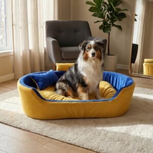 dog bed, premium dog bed, orthopedic dog bed, soft dog bed, pet bed for dogs, comfortable dog bed, washable dog bed, dog bed with cushion, premium orthopedic dog bed for large dogs, soft and comfortable dog bed with cushion, durable dog bed with PU foam support, luxury pet bed for small and medium dogs, breathable dog bed for summer and winter, stylish modern dog bed for home, lightweight dog bed easy to carry, dog bed with bone shape pillow, buy dog bed online India, best dog bed for home use, affordable premium dog bed, high quality pet bed India, dog bed under budget, cozy dog bed, luxury pet comfort bed, soft plush dog bed, designer dog bed, pet sleeping bed, dog sofa bed, dog lounger bed, pet sofa bed, round dog bed, donut dog bed, calming dog bed, anti anxiety dog bed, raised edge dog bed, bolster dog bed, dog bed with side support, dog bed with high walls, puppy bed, small dog bed, medium dog bed, large dog bed, extra large dog bed, indoor dog bed, home pet bed, dog sleeping cushion, thick padded dog bed, fluffy dog bed, soft foam dog bed, PU foam dog bed, fiber filled dog bed, eco friendly dog bed, skin friendly dog bed, hypoallergenic dog bed, non toxic pet bed, durable pet bedding, long lasting dog bed, tear resistant dog bed, chew resistant dog bed, easy to clean dog bed, machine washable pet bed, removable cover dog bed, portable dog bed, travel dog bed, foldable dog bed, lightweight pet bed, luxury dog sofa, premium pet mattress, designer pet furniture, modern pet bed, aesthetic dog bed, comfortable pet mattress, pet relaxation bed, cozy pet nest, warm dog bed for winter, cool breathable dog bed for summer, all season dog bed, anti slip base dog bed, waterproof dog bed, indoor luxury pet bed, dog bed for crate, dog bed for living room, pet accessories dog bed, best selling dog bed, trending pet products, affordable pet bedding India, online pet supplies India