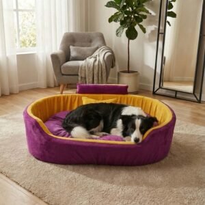 dog bed, premium dog bed, orthopedic dog bed, soft dog bed, pet bed for dogs, comfortable dog bed, washable dog bed, dog bed with cushion, premium orthopedic dog bed for large dogs, soft and comfortable dog bed with cushion, durable dog bed with PU foam support, luxury pet bed for small and medium dogs, breathable dog bed for summer and winter, stylish modern dog bed for home, lightweight dog bed easy to carry, dog bed with bone shape pillow, buy dog bed online India, best dog bed for home use, affordable premium dog bed, high quality pet bed India, dog bed under budget, cozy dog bed, luxury pet comfort bed, soft plush dog bed, designer dog bed, pet sleeping bed, dog sofa bed, dog lounger bed, pet sofa bed, round dog bed, donut dog bed, calming dog bed, anti anxiety dog bed, raised edge dog bed, bolster dog bed, dog bed with side support, dog bed with high walls, puppy bed, small dog bed, medium dog bed, large dog bed, extra large dog bed, indoor dog bed, home pet bed, dog sleeping cushion, thick padded dog bed, fluffy dog bed, soft foam dog bed, PU foam dog bed, fiber filled dog bed, eco friendly dog bed, skin friendly dog bed, hypoallergenic dog bed, non toxic pet bed, durable pet bedding, long lasting dog bed, tear resistant dog bed, chew resistant dog bed, easy to clean dog bed, machine washable pet bed, removable cover dog bed, portable dog bed, travel dog bed, foldable dog bed, lightweight pet bed, luxury dog sofa, premium pet mattress, designer pet furniture, modern pet bed, aesthetic dog bed, comfortable pet mattress, pet relaxation bed, cozy pet nest, warm dog bed for winter, cool breathable dog bed for summer, all season dog bed, anti slip base dog bed, waterproof dog bed, indoor luxury pet bed, dog bed for crate, dog bed for living room, pet accessories dog bed, best selling dog bed, trending pet products, affordable pet bedding India, online pet supplies India