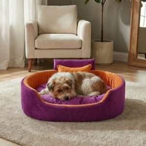 dog bed, premium dog bed, orthopedic dog bed, soft dog bed, pet bed for dogs, comfortable dog bed, washable dog bed, dog bed with cushion, premium orthopedic dog bed for large dogs, soft and comfortable dog bed with cushion, durable dog bed with PU foam support, luxury pet bed for small and medium dogs, breathable dog bed for summer and winter, stylish modern dog bed for home, lightweight dog bed easy to carry, dog bed with bone shape pillow, buy dog bed online India, best dog bed for home use, affordable premium dog bed, high quality pet bed India, dog bed under budget, cozy dog bed, luxury pet comfort bed, soft plush dog bed, designer dog bed, pet sleeping bed, dog sofa bed, dog lounger bed, pet sofa bed, round dog bed, donut dog bed, calming dog bed, anti anxiety dog bed, raised edge dog bed, bolster dog bed, dog bed with side support, dog bed with high walls, puppy bed, small dog bed, medium dog bed, large dog bed, extra large dog bed, indoor dog bed, home pet bed, dog sleeping cushion, thick padded dog bed, fluffy dog bed, soft foam dog bed, PU foam dog bed, fiber filled dog bed, eco friendly dog bed, skin friendly dog bed, hypoallergenic dog bed, non toxic pet bed, durable pet bedding, long lasting dog bed, tear resistant dog bed, chew resistant dog bed, easy to clean dog bed, machine washable pet bed, removable cover dog bed, portable dog bed, travel dog bed, foldable dog bed, lightweight pet bed, luxury dog sofa, premium pet mattress, designer pet furniture, modern pet bed, aesthetic dog bed, comfortable pet mattress, pet relaxation bed, cozy pet nest, warm dog bed for winter, cool breathable dog bed for summer, all season dog bed, anti slip base dog bed, waterproof dog bed, indoor luxury pet bed, dog bed for crate, dog bed for living room, pet accessories dog bed, best selling dog bed, trending pet products, affordable pet bedding India, online pet supplies India