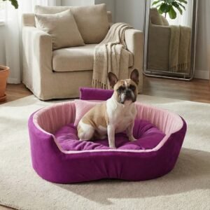 dog bed, premium dog bed, orthopedic dog bed, soft dog bed, pet bed for dogs, comfortable dog bed, washable dog bed, dog bed with cushion, premium orthopedic dog bed for large dogs, soft and comfortable dog bed with cushion, durable dog bed with PU foam support, luxury pet bed for small and medium dogs, breathable dog bed for summer and winter, stylish modern dog bed for home, lightweight dog bed easy to carry, dog bed with bone shape pillow, buy dog bed online India, best dog bed for home use, affordable premium dog bed, high quality pet bed India, dog bed under budget, cozy dog bed, luxury pet comfort bed, soft plush dog bed, designer dog bed, pet sleeping bed, dog sofa bed, dog lounger bed, pet sofa bed, round dog bed, donut dog bed, calming dog bed, anti anxiety dog bed, raised edge dog bed, bolster dog bed, dog bed with side support, dog bed with high walls, puppy bed, small dog bed, medium dog bed, large dog bed, extra large dog bed, indoor dog bed, home pet bed, dog sleeping cushion, thick padded dog bed, fluffy dog bed, soft foam dog bed, PU foam dog bed, fiber filled dog bed, eco friendly dog bed, skin friendly dog bed, hypoallergenic dog bed, non toxic pet bed, durable pet bedding, long lasting dog bed, tear resistant dog bed, chew resistant dog bed, easy to clean dog bed, machine washable pet bed, removable cover dog bed, portable dog bed, travel dog bed, foldable dog bed, lightweight pet bed, luxury dog sofa, premium pet mattress, designer pet furniture, modern pet bed, aesthetic dog bed, comfortable pet mattress, pet relaxation bed, cozy pet nest, warm dog bed for winter, cool breathable dog bed for summer, all season dog bed, anti slip base dog bed, waterproof dog bed, indoor luxury pet bed, dog bed for crate, dog bed for living room, pet accessories dog bed, best selling dog bed, trending pet products, affordable pet bedding India, online pet supplies India