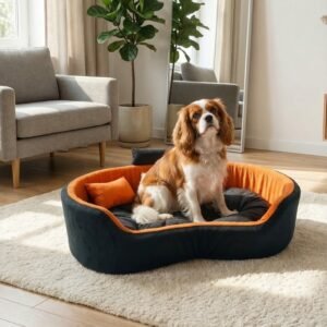 dog bed, premium dog bed, orthopedic dog bed, soft dog bed, pet bed for dogs, comfortable dog bed, washable dog bed, dog bed with cushion, premium orthopedic dog bed for large dogs, soft and comfortable dog bed with cushion, durable dog bed with PU foam support, luxury pet bed for small and medium dogs, breathable dog bed for summer and winter, stylish modern dog bed for home, lightweight dog bed easy to carry, dog bed with bone shape pillow, buy dog bed online India, best dog bed for home use, affordable premium dog bed, high quality pet bed India, dog bed under budget, cozy dog bed, luxury pet comfort bed, soft plush dog bed, designer dog bed, pet sleeping bed, dog sofa bed, dog lounger bed, pet sofa bed, round dog bed, donut dog bed, calming dog bed, anti anxiety dog bed, raised edge dog bed, bolster dog bed, dog bed with side support, dog bed with high walls, puppy bed, small dog bed, medium dog bed, large dog bed, extra large dog bed, indoor dog bed, home pet bed, dog sleeping cushion, thick padded dog bed, fluffy dog bed, soft foam dog bed, PU foam dog bed, fiber filled dog bed, eco friendly dog bed, skin friendly dog bed, hypoallergenic dog bed, non toxic pet bed, durable pet bedding, long lasting dog bed, tear resistant dog bed, chew resistant dog bed, easy to clean dog bed, machine washable pet bed, removable cover dog bed, portable dog bed, travel dog bed, foldable dog bed, lightweight pet bed, luxury dog sofa, premium pet mattress, designer pet furniture, modern pet bed, aesthetic dog bed, comfortable pet mattress, pet relaxation bed, cozy pet nest, warm dog bed for winter, cool breathable dog bed for summer, all season dog bed, anti slip base dog bed, waterproof dog bed, indoor luxury pet bed, dog bed for crate, dog bed for living room, pet accessories dog bed, best selling dog bed, trending pet products, affordable pet bedding India, online pet supplies India