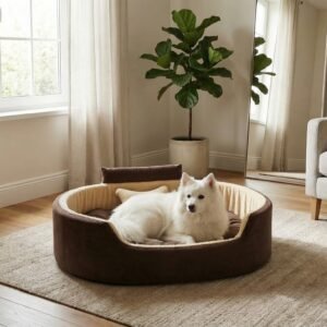 dog bed, premium dog bed, orthopedic dog bed, soft dog bed, pet bed for dogs, comfortable dog bed, washable dog bed, dog bed with cushion, premium orthopedic dog bed for large dogs, soft and comfortable dog bed with cushion, durable dog bed with PU foam support, luxury pet bed for small and medium dogs, breathable dog bed for summer and winter, stylish modern dog bed for home, lightweight dog bed easy to carry, dog bed with bone shape pillow, buy dog bed online India, best dog bed for home use, affordable premium dog bed, high quality pet bed India, dog bed under budget, cozy dog bed, luxury pet comfort bed, soft plush dog bed, designer dog bed, pet sleeping bed, dog sofa bed, dog lounger bed, pet sofa bed, round dog bed, donut dog bed, calming dog bed, anti anxiety dog bed, raised edge dog bed, bolster dog bed, dog bed with side support, dog bed with high walls, puppy bed, small dog bed, medium dog bed, large dog bed, extra large dog bed, indoor dog bed, home pet bed, dog sleeping cushion, thick padded dog bed, fluffy dog bed, soft foam dog bed, PU foam dog bed, fiber filled dog bed, eco friendly dog bed, skin friendly dog bed, hypoallergenic dog bed, non toxic pet bed, durable pet bedding, long lasting dog bed, tear resistant dog bed, chew resistant dog bed, easy to clean dog bed, machine washable pet bed, removable cover dog bed, portable dog bed, travel dog bed, foldable dog bed, lightweight pet bed, luxury dog sofa, premium pet mattress, designer pet furniture, modern pet bed, aesthetic dog bed, comfortable pet mattress, pet relaxation bed, cozy pet nest, warm dog bed for winter, cool breathable dog bed for summer, all season dog bed, anti slip base dog bed, waterproof dog bed, indoor luxury pet bed, dog bed for crate, dog bed for living room, pet accessories dog bed, best selling dog bed, trending pet products, affordable pet bedding India, online pet supplies India