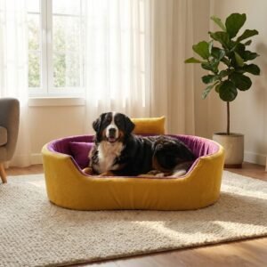 dog bed, premium dog bed, orthopedic dog bed, soft dog bed, pet bed for dogs, comfortable dog bed, washable dog bed, dog bed with cushion, premium orthopedic dog bed for large dogs, soft and comfortable dog bed with cushion, durable dog bed with PU foam support, luxury pet bed for small and medium dogs, breathable dog bed for summer and winter, stylish modern dog bed for home, lightweight dog bed easy to carry, dog bed with bone shape pillow, buy dog bed online India, best dog bed for home use, affordable premium dog bed, high quality pet bed India, dog bed under budget, cozy dog bed, luxury pet comfort bed, soft plush dog bed, designer dog bed, pet sleeping bed, dog sofa bed, dog lounger bed, pet sofa bed, round dog bed, donut dog bed, calming dog bed, anti anxiety dog bed, raised edge dog bed, bolster dog bed, dog bed with side support, dog bed with high walls, puppy bed, small dog bed, medium dog bed, large dog bed, extra large dog bed, indoor dog bed, home pet bed, dog sleeping cushion, thick padded dog bed, fluffy dog bed, soft foam dog bed, PU foam dog bed, fiber filled dog bed, eco friendly dog bed, skin friendly dog bed, hypoallergenic dog bed, non toxic pet bed, durable pet bedding, long lasting dog bed, tear resistant dog bed, chew resistant dog bed, easy to clean dog bed, machine washable pet bed, removable cover dog bed, portable dog bed, travel dog bed, foldable dog bed, lightweight pet bed, luxury dog sofa, premium pet mattress, designer pet furniture, modern pet bed, aesthetic dog bed, comfortable pet mattress, pet relaxation bed, cozy pet nest, warm dog bed for winter, cool breathable dog bed for summer, all season dog bed, anti slip base dog bed, waterproof dog bed, indoor luxury pet bed, dog bed for crate, dog bed for living room, pet accessories dog bed, best selling dog bed, trending pet products, affordable pet bedding India, online pet supplies India