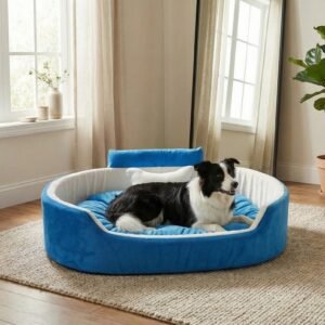 dog bed, premium dog bed, orthopedic dog bed, soft dog bed, pet bed for dogs, comfortable dog bed, washable dog bed, dog bed with cushion, premium orthopedic dog bed for large dogs, soft and comfortable dog bed with cushion, durable dog bed with PU foam support, luxury pet bed for small and medium dogs, breathable dog bed for summer and winter, stylish modern dog bed for home, lightweight dog bed easy to carry, dog bed with bone shape pillow, buy dog bed online India, best dog bed for home use, affordable premium dog bed, high quality pet bed India, dog bed under budget, cozy dog bed, luxury pet comfort bed, soft plush dog bed, designer dog bed, pet sleeping bed, dog sofa bed, dog lounger bed, pet sofa bed, round dog bed, donut dog bed, calming dog bed, anti anxiety dog bed, raised edge dog bed, bolster dog bed, dog bed with side support, dog bed with high walls, puppy bed, small dog bed, medium dog bed, large dog bed, extra large dog bed, indoor dog bed, home pet bed, dog sleeping cushion, thick padded dog bed, fluffy dog bed, soft foam dog bed, PU foam dog bed, fiber filled dog bed, eco friendly dog bed, skin friendly dog bed, hypoallergenic dog bed, non toxic pet bed, durable pet bedding, long lasting dog bed, tear resistant dog bed, chew resistant dog bed, easy to clean dog bed, machine washable pet bed, removable cover dog bed, portable dog bed, travel dog bed, foldable dog bed, lightweight pet bed, luxury dog sofa, premium pet mattress, designer pet furniture, modern pet bed, aesthetic dog bed, comfortable pet mattress, pet relaxation bed, cozy pet nest, warm dog bed for winter, cool breathable dog bed for summer, all season dog bed, anti slip base dog bed, waterproof dog bed, indoor luxury pet bed, dog bed for crate, dog bed for living room, pet accessories dog bed, best selling dog bed, trending pet products, affordable pet bedding India, online pet supplies India