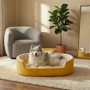 dog bed, premium dog bed, orthopedic dog bed, soft dog bed, pet bed for dogs, comfortable dog bed, washable dog bed, dog bed with cushion, premium orthopedic dog bed for large dogs, soft and comfortable dog bed with cushion, durable dog bed with PU foam support, luxury pet bed for small and medium dogs, breathable dog bed for summer and winter, stylish modern dog bed for home, lightweight dog bed easy to carry, dog bed with bone shape pillow, buy dog bed online India, best dog bed for home use, affordable premium dog bed, high quality pet bed India, dog bed under budget, cozy dog bed, luxury pet comfort bed, soft plush dog bed, designer dog bed, pet sleeping bed, dog sofa bed, dog lounger bed, pet sofa bed, round dog bed, donut dog bed, calming dog bed, anti anxiety dog bed, raised edge dog bed, bolster dog bed, dog bed with side support, dog bed with high walls, puppy bed, small dog bed, medium dog bed, large dog bed, extra large dog bed, indoor dog bed, home pet bed, dog sleeping cushion, thick padded dog bed, fluffy dog bed, soft foam dog bed, PU foam dog bed, fiber filled dog bed, eco friendly dog bed, skin friendly dog bed, hypoallergenic dog bed, non toxic pet bed, durable pet bedding, long lasting dog bed, tear resistant dog bed, chew resistant dog bed, easy to clean dog bed, machine washable pet bed, removable cover dog bed, portable dog bed, travel dog bed, foldable dog bed, lightweight pet bed, luxury dog sofa, premium pet mattress, designer pet furniture, modern pet bed, aesthetic dog bed, comfortable pet mattress, pet relaxation bed, cozy pet nest, warm dog bed for winter, cool breathable dog bed for summer, all season dog bed, anti slip base dog bed, waterproof dog bed, indoor luxury pet bed, dog bed for crate, dog bed for living room, pet accessories dog bed, best selling dog bed, trending pet products, affordable pet bedding India, online pet supplies India