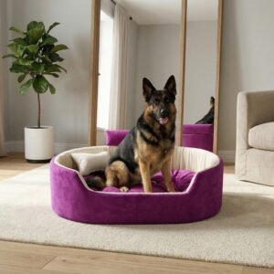 dog bed, premium dog bed, orthopedic dog bed, soft dog bed, pet bed for dogs, comfortable dog bed, washable dog bed, dog bed with cushion, premium orthopedic dog bed for large dogs, soft and comfortable dog bed with cushion, durable dog bed with PU foam support, luxury pet bed for small and medium dogs, breathable dog bed for summer and winter, stylish modern dog bed for home, lightweight dog bed easy to carry, dog bed with bone shape pillow, buy dog bed online India, best dog bed for home use, affordable premium dog bed, high quality pet bed India, dog bed under budget, cozy dog bed, luxury pet comfort bed, soft plush dog bed, designer dog bed, pet sleeping bed, dog sofa bed, dog lounger bed, pet sofa bed, round dog bed, donut dog bed, calming dog bed, anti anxiety dog bed, raised edge dog bed, bolster dog bed, dog bed with side support, dog bed with high walls, puppy bed, small dog bed, medium dog bed, large dog bed, extra large dog bed, indoor dog bed, home pet bed, dog sleeping cushion, thick padded dog bed, fluffy dog bed, soft foam dog bed, PU foam dog bed, fiber filled dog bed, eco friendly dog bed, skin friendly dog bed, hypoallergenic dog bed, non toxic pet bed, durable pet bedding, long lasting dog bed, tear resistant dog bed, chew resistant dog bed, easy to clean dog bed, machine washable pet bed, removable cover dog bed, portable dog bed, travel dog bed, foldable dog bed, lightweight pet bed, luxury dog sofa, premium pet mattress, designer pet furniture, modern pet bed, aesthetic dog bed, comfortable pet mattress, pet relaxation bed, cozy pet nest, warm dog bed for winter, cool breathable dog bed for summer, all season dog bed, anti slip base dog bed, waterproof dog bed, indoor luxury pet bed, dog bed for crate, dog bed for living room, pet accessories dog bed, best selling dog bed, trending pet products, affordable pet bedding India, online pet supplies India