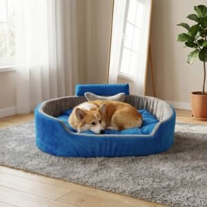 dog bed, premium dog bed, orthopedic dog bed, soft dog bed, pet bed for dogs, comfortable dog bed, washable dog bed, dog bed with cushion, premium orthopedic dog bed for large dogs, soft and comfortable dog bed with cushion, durable dog bed with PU foam support, luxury pet bed for small and medium dogs, breathable dog bed for summer and winter, stylish modern dog bed for home, lightweight dog bed easy to carry, dog bed with bone shape pillow, buy dog bed online India, best dog bed for home use, affordable premium dog bed, high quality pet bed India, dog bed under budget, cozy dog bed, luxury pet comfort bed, soft plush dog bed, designer dog bed, pet sleeping bed, dog sofa bed, dog lounger bed, pet sofa bed, round dog bed, donut dog bed, calming dog bed, anti anxiety dog bed, raised edge dog bed, bolster dog bed, dog bed with side support, dog bed with high walls, puppy bed, small dog bed, medium dog bed, large dog bed, extra large dog bed, indoor dog bed, home pet bed, dog sleeping cushion, thick padded dog bed, fluffy dog bed, soft foam dog bed, PU foam dog bed, fiber filled dog bed, eco friendly dog bed, skin friendly dog bed, hypoallergenic dog bed, non toxic pet bed, durable pet bedding, long lasting dog bed, tear resistant dog bed, chew resistant dog bed, easy to clean dog bed, machine washable pet bed, removable cover dog bed, portable dog bed, travel dog bed, foldable dog bed, lightweight pet bed, luxury dog sofa, premium pet mattress, designer pet furniture, modern pet bed, aesthetic dog bed, comfortable pet mattress, pet relaxation bed, cozy pet nest, warm dog bed for winter, cool breathable dog bed for summer, all season dog bed, anti slip base dog bed, waterproof dog bed, indoor luxury pet bed, dog bed for crate, dog bed for living room, pet accessories dog bed, best selling dog bed, trending pet products, affordable pet bedding India, online pet supplies India