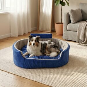 dog bed, premium dog bed, orthopedic dog bed, soft dog bed, pet bed for dogs, comfortable dog bed, washable dog bed, dog bed with cushion, premium orthopedic dog bed for large dogs, soft and comfortable dog bed with cushion, durable dog bed with PU foam support, luxury pet bed for small and medium dogs, breathable dog bed for summer and winter, stylish modern dog bed for home, lightweight dog bed easy to carry, dog bed with bone shape pillow, buy dog bed online India, best dog bed for home use, affordable premium dog bed, high quality pet bed India, dog bed under budget, cozy dog bed, luxury pet comfort bed, soft plush dog bed, designer dog bed, pet sleeping bed, dog sofa bed, dog lounger bed, pet sofa bed, round dog bed, donut dog bed, calming dog bed, anti anxiety dog bed, raised edge dog bed, bolster dog bed, dog bed with side support, dog bed with high walls, puppy bed, small dog bed, medium dog bed, large dog bed, extra large dog bed, indoor dog bed, home pet bed, dog sleeping cushion, thick padded dog bed, fluffy dog bed, soft foam dog bed, PU foam dog bed, fiber filled dog bed, eco friendly dog bed, skin friendly dog bed, hypoallergenic dog bed, non toxic pet bed, durable pet bedding, long lasting dog bed, tear resistant dog bed, chew resistant dog bed, easy to clean dog bed, machine washable pet bed, removable cover dog bed, portable dog bed, travel dog bed, foldable dog bed, lightweight pet bed, luxury dog sofa, premium pet mattress, designer pet furniture, modern pet bed, aesthetic dog bed, comfortable pet mattress, pet relaxation bed, cozy pet nest, warm dog bed for winter, cool breathable dog bed for summer, all season dog bed, anti slip base dog bed, waterproof dog bed, indoor luxury pet bed, dog bed for crate, dog bed for living room, pet accessories dog bed, best selling dog bed, trending pet products, affordable pet bedding India, online pet supplies India