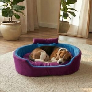 dog bed, premium dog bed, orthopedic dog bed, soft dog bed, pet bed for dogs, comfortable dog bed, washable dog bed, dog bed with cushion, premium orthopedic dog bed for large dogs, soft and comfortable dog bed with cushion, durable dog bed with PU foam support, luxury pet bed for small and medium dogs, breathable dog bed for summer and winter, stylish modern dog bed for home, lightweight dog bed easy to carry, dog bed with bone shape pillow, buy dog bed online India, best dog bed for home use, affordable premium dog bed, high quality pet bed India, dog bed under budget, cozy dog bed, luxury pet comfort bed, soft plush dog bed, designer dog bed, pet sleeping bed, dog sofa bed, dog lounger bed, pet sofa bed, round dog bed, donut dog bed, calming dog bed, anti anxiety dog bed, raised edge dog bed, bolster dog bed, dog bed with side support, dog bed with high walls, puppy bed, small dog bed, medium dog bed, large dog bed, extra large dog bed, indoor dog bed, home pet bed, dog sleeping cushion, thick padded dog bed, fluffy dog bed, soft foam dog bed, PU foam dog bed, fiber filled dog bed, eco friendly dog bed, skin friendly dog bed, hypoallergenic dog bed, non toxic pet bed, durable pet bedding, long lasting dog bed, tear resistant dog bed, chew resistant dog bed, easy to clean dog bed, machine washable pet bed, removable cover dog bed, portable dog bed, travel dog bed, foldable dog bed, lightweight pet bed, luxury dog sofa, premium pet mattress, designer pet furniture, modern pet bed, aesthetic dog bed, comfortable pet mattress, pet relaxation bed, cozy pet nest, warm dog bed for winter, cool breathable dog bed for summer, all season dog bed, anti slip base dog bed, waterproof dog bed, indoor luxury pet bed, dog bed for crate, dog bed for living room, pet accessories dog bed, best selling dog bed, trending pet products, affordable pet bedding India, online pet supplies India