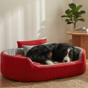 dog bed, premium dog bed, orthopedic dog bed, soft dog bed, pet bed for dogs, comfortable dog bed, washable dog bed, dog bed with cushion, premium orthopedic dog bed for large dogs, soft and comfortable dog bed with cushion, durable dog bed with PU foam support, luxury pet bed for small and medium dogs, breathable dog bed for summer and winter, stylish modern dog bed for home, lightweight dog bed easy to carry, dog bed with bone shape pillow, buy dog bed online India, best dog bed for home use, affordable premium dog bed, high quality pet bed India, dog bed under budget, cozy dog bed, luxury pet comfort bed, soft plush dog bed, designer dog bed, pet sleeping bed, dog sofa bed, dog lounger bed, pet sofa bed, round dog bed, donut dog bed, calming dog bed, anti anxiety dog bed, raised edge dog bed, bolster dog bed, dog bed with side support, dog bed with high walls, puppy bed, small dog bed, medium dog bed, large dog bed, extra large dog bed, indoor dog bed, home pet bed, dog sleeping cushion, thick padded dog bed, fluffy dog bed, soft foam dog bed, PU foam dog bed, fiber filled dog bed, eco friendly dog bed, skin friendly dog bed, hypoallergenic dog bed, non toxic pet bed, durable pet bedding, long lasting dog bed, tear resistant dog bed, chew resistant dog bed, easy to clean dog bed, machine washable pet bed, removable cover dog bed, portable dog bed, travel dog bed, foldable dog bed, lightweight pet bed, luxury dog sofa, premium pet mattress, designer pet furniture, modern pet bed, aesthetic dog bed, comfortable pet mattress, pet relaxation bed, cozy pet nest, warm dog bed for winter, cool breathable dog bed for summer, all season dog bed, anti slip base dog bed, waterproof dog bed, indoor luxury pet bed, dog bed for crate, dog bed for living room, pet accessories dog bed, best selling dog bed, trending pet products, affordable pet bedding India, online pet supplies India
