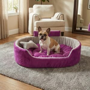 dog bed, premium dog bed, orthopedic dog bed, soft dog bed, pet bed for dogs, comfortable dog bed, washable dog bed, dog bed with cushion, premium orthopedic dog bed for large dogs, soft and comfortable dog bed with cushion, durable dog bed with PU foam support, luxury pet bed for small and medium dogs, breathable dog bed for summer and winter, stylish modern dog bed for home, lightweight dog bed easy to carry, dog bed with bone shape pillow, buy dog bed online India, best dog bed for home use, affordable premium dog bed, high quality pet bed India, dog bed under budget, cozy dog bed, luxury pet comfort bed, soft plush dog bed, designer dog bed, pet sleeping bed, dog sofa bed, dog lounger bed, pet sofa bed, round dog bed, donut dog bed, calming dog bed, anti anxiety dog bed, raised edge dog bed, bolster dog bed, dog bed with side support, dog bed with high walls, puppy bed, small dog bed, medium dog bed, large dog bed, extra large dog bed, indoor dog bed, home pet bed, dog sleeping cushion, thick padded dog bed, fluffy dog bed, soft foam dog bed, PU foam dog bed, fiber filled dog bed, eco friendly dog bed, skin friendly dog bed, hypoallergenic dog bed, non toxic pet bed, durable pet bedding, long lasting dog bed, tear resistant dog bed, chew resistant dog bed, easy to clean dog bed, machine washable pet bed, removable cover dog bed, portable dog bed, travel dog bed, foldable dog bed, lightweight pet bed, luxury dog sofa, premium pet mattress, designer pet furniture, modern pet bed, aesthetic dog bed, comfortable pet mattress, pet relaxation bed, cozy pet nest, warm dog bed for winter, cool breathable dog bed for summer, all season dog bed, anti slip base dog bed, waterproof dog bed, indoor luxury pet bed, dog bed for crate, dog bed for living room, pet accessories dog bed, best selling dog bed, trending pet products, affordable pet bedding India, online pet supplies India