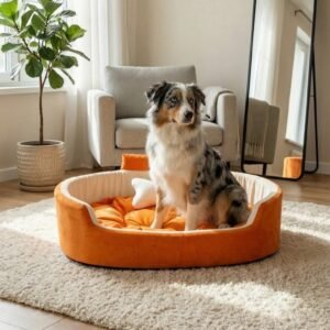 dog bed, premium dog bed, orthopedic dog bed, soft dog bed, pet bed for dogs, comfortable dog bed, washable dog bed, dog bed with cushion, premium orthopedic dog bed for large dogs, soft and comfortable dog bed with cushion, durable dog bed with PU foam support, luxury pet bed for small and medium dogs, breathable dog bed for summer and winter, stylish modern dog bed for home, lightweight dog bed easy to carry, dog bed with bone shape pillow, buy dog bed online India, best dog bed for home use, affordable premium dog bed, high quality pet bed India, dog bed under budget, cozy dog bed, luxury pet comfort bed, soft plush dog bed, designer dog bed, pet sleeping bed, dog sofa bed, dog lounger bed, pet sofa bed, round dog bed, donut dog bed, calming dog bed, anti anxiety dog bed, raised edge dog bed, bolster dog bed, dog bed with side support, dog bed with high walls, puppy bed, small dog bed, medium dog bed, large dog bed, extra large dog bed, indoor dog bed, home pet bed, dog sleeping cushion, thick padded dog bed, fluffy dog bed, soft foam dog bed, PU foam dog bed, fiber filled dog bed, eco friendly dog bed, skin friendly dog bed, hypoallergenic dog bed, non toxic pet bed, durable pet bedding, long lasting dog bed, tear resistant dog bed, chew resistant dog bed, easy to clean dog bed, machine washable pet bed, removable cover dog bed, portable dog bed, travel dog bed, foldable dog bed, lightweight pet bed, luxury dog sofa, premium pet mattress, designer pet furniture, modern pet bed, aesthetic dog bed, comfortable pet mattress, pet relaxation bed, cozy pet nest, warm dog bed for winter, cool breathable dog bed for summer, all season dog bed, anti slip base dog bed, waterproof dog bed, indoor luxury pet bed, dog bed for crate, dog bed for living room, pet accessories dog bed, best selling dog bed, trending pet products, affordable pet bedding India, online pet supplies India