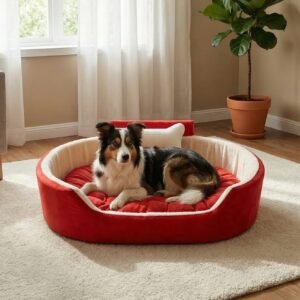 dog bed, premium dog bed, orthopedic dog bed, soft dog bed, pet bed for dogs, comfortable dog bed, washable dog bed, dog bed with cushion, premium orthopedic dog bed for large dogs, soft and comfortable dog bed with cushion, durable dog bed with PU foam support, luxury pet bed for small and medium dogs, breathable dog bed for summer and winter, stylish modern dog bed for home, lightweight dog bed easy to carry, dog bed with bone shape pillow, buy dog bed online India, best dog bed for home use, affordable premium dog bed, high quality pet bed India, dog bed under budget, cozy dog bed, luxury pet comfort bed, soft plush dog bed, designer dog bed, pet sleeping bed, dog sofa bed, dog lounger bed, pet sofa bed, round dog bed, donut dog bed, calming dog bed, anti anxiety dog bed, raised edge dog bed, bolster dog bed, dog bed with side support, dog bed with high walls, puppy bed, small dog bed, medium dog bed, large dog bed, extra large dog bed, indoor dog bed, home pet bed, dog sleeping cushion, thick padded dog bed, fluffy dog bed, soft foam dog bed, PU foam dog bed, fiber filled dog bed, eco friendly dog bed, skin friendly dog bed, hypoallergenic dog bed, non toxic pet bed, durable pet bedding, long lasting dog bed, tear resistant dog bed, chew resistant dog bed, easy to clean dog bed, machine washable pet bed, removable cover dog bed, portable dog bed, travel dog bed, foldable dog bed, lightweight pet bed, luxury dog sofa, premium pet mattress, designer pet furniture, modern pet bed, aesthetic dog bed, comfortable pet mattress, pet relaxation bed, cozy pet nest, warm dog bed for winter, cool breathable dog bed for summer, all season dog bed, anti slip base dog bed, waterproof dog bed, indoor luxury pet bed, dog bed for crate, dog bed for living room, pet accessories dog bed, best selling dog bed, trending pet products, affordable pet bedding India, online pet supplies India