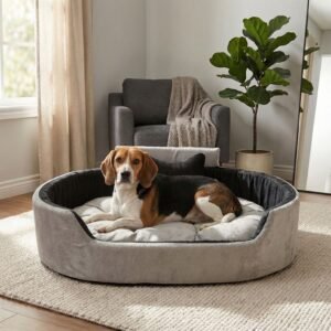 dog bed, premium dog bed, orthopedic dog bed, soft dog bed, pet bed for dogs, comfortable dog bed, washable dog bed, dog bed with cushion, premium orthopedic dog bed for large dogs, soft and comfortable dog bed with cushion, durable dog bed with PU foam support, luxury pet bed for small and medium dogs, breathable dog bed for summer and winter, stylish modern dog bed for home, lightweight dog bed easy to carry, dog bed with bone shape pillow, buy dog bed online India, best dog bed for home use, affordable premium dog bed, high quality pet bed India, dog bed under budget, cozy dog bed, luxury pet comfort bed, soft plush dog bed, designer dog bed, pet sleeping bed, dog sofa bed, dog lounger bed, pet sofa bed, round dog bed, donut dog bed, calming dog bed, anti anxiety dog bed, raised edge dog bed, bolster dog bed, dog bed with side support, dog bed with high walls, puppy bed, small dog bed, medium dog bed, large dog bed, extra large dog bed, indoor dog bed, home pet bed, dog sleeping cushion, thick padded dog bed, fluffy dog bed, soft foam dog bed, PU foam dog bed, fiber filled dog bed, eco friendly dog bed, skin friendly dog bed, hypoallergenic dog bed, non toxic pet bed, durable pet bedding, long lasting dog bed, tear resistant dog bed, chew resistant dog bed, easy to clean dog bed, machine washable pet bed, removable cover dog bed, portable dog bed, travel dog bed, foldable dog bed, lightweight pet bed, luxury dog sofa, premium pet mattress, designer pet furniture, modern pet bed, aesthetic dog bed, comfortable pet mattress, pet relaxation bed, cozy pet nest, warm dog bed for winter, cool breathable dog bed for summer, all season dog bed, anti slip base dog bed, waterproof dog bed, indoor luxury pet bed, dog bed for crate, dog bed for living room, pet accessories dog bed, best selling dog bed, trending pet products, affordable pet bedding India, online pet supplies India