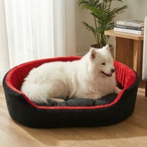 dog bed, premium dog bed, orthopedic dog bed, soft dog bed, pet bed for dogs, comfortable dog bed, washable dog bed, dog bed with cushion, premium orthopedic dog bed for large dogs, soft and comfortable dog bed with cushion, durable dog bed with PU foam support, luxury pet bed for small and medium dogs, breathable dog bed for summer and winter, stylish modern dog bed for home, lightweight dog bed easy to carry, dog bed with bone shape pillow, buy dog bed online India, best dog bed for home use, affordable premium dog bed, high quality pet bed India, dog bed under budget, cozy dog bed, luxury pet comfort bed, soft plush dog bed, designer dog bed, pet sleeping bed, dog sofa bed, dog lounger bed, pet sofa bed, round dog bed, donut dog bed, calming dog bed, anti anxiety dog bed, raised edge dog bed, bolster dog bed, dog bed with side support, dog bed with high walls, puppy bed, small dog bed, medium dog bed, large dog bed, extra large dog bed, indoor dog bed, home pet bed, dog sleeping cushion, thick padded dog bed, fluffy dog bed, soft foam dog bed, PU foam dog bed, fiber filled dog bed, eco friendly dog bed, skin friendly dog bed, hypoallergenic dog bed, non toxic pet bed, durable pet bedding, long lasting dog bed, tear resistant dog bed, chew resistant dog bed, easy to clean dog bed, machine washable pet bed, removable cover dog bed, portable dog bed, travel dog bed, foldable dog bed, lightweight pet bed, luxury dog sofa, premium pet mattress, designer pet furniture, modern pet bed, aesthetic dog bed, comfortable pet mattress, pet relaxation bed, cozy pet nest, warm dog bed for winter, cool breathable dog bed for summer, all season dog bed, anti slip base dog bed, waterproof dog bed, indoor luxury pet bed, dog bed for crate, dog bed for living room, pet accessories dog bed, best selling dog bed, trending pet products, affordable pet bedding India, online pet supplies India