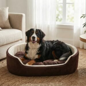 dog bed, premium dog bed, orthopedic dog bed, soft dog bed, pet bed for dogs, comfortable dog bed, washable dog bed, dog bed with cushion, premium orthopedic dog bed for large dogs, soft and comfortable dog bed with cushion, durable dog bed with PU foam support, luxury pet bed for small and medium dogs, breathable dog bed for summer and winter, stylish modern dog bed for home, lightweight dog bed easy to carry, dog bed with bone shape pillow, buy dog bed online India, best dog bed for home use, affordable premium dog bed, high quality pet bed India, dog bed under budget, cozy dog bed, luxury pet comfort bed, soft plush dog bed, designer dog bed, pet sleeping bed, dog sofa bed, dog lounger bed, pet sofa bed, round dog bed, donut dog bed, calming dog bed, anti anxiety dog bed, raised edge dog bed, bolster dog bed, dog bed with side support, dog bed with high walls, puppy bed, small dog bed, medium dog bed, large dog bed, extra large dog bed, indoor dog bed, home pet bed, dog sleeping cushion, thick padded dog bed, fluffy dog bed, soft foam dog bed, PU foam dog bed, fiber filled dog bed, eco friendly dog bed, skin friendly dog bed, hypoallergenic dog bed, non toxic pet bed, durable pet bedding, long lasting dog bed, tear resistant dog bed, chew resistant dog bed, easy to clean dog bed, machine washable pet bed, removable cover dog bed, portable dog bed, travel dog bed, foldable dog bed, lightweight pet bed, luxury dog sofa, premium pet mattress, designer pet furniture, modern pet bed, aesthetic dog bed, comfortable pet mattress, pet relaxation bed, cozy pet nest, warm dog bed for winter, cool breathable dog bed for summer, all season dog bed, anti slip base dog bed, waterproof dog bed, indoor luxury pet bed, dog bed for crate, dog bed for living room, pet accessories dog bed, best selling dog bed, trending pet products, affordable pet bedding India, online pet supplies India