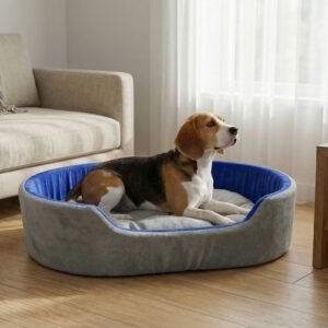 dog bed, premium dog bed, orthopedic dog bed, soft dog bed, pet bed for dogs, comfortable dog bed, washable dog bed, dog bed with cushion, premium orthopedic dog bed for large dogs, soft and comfortable dog bed with cushion, durable dog bed with PU foam support, luxury pet bed for small and medium dogs, breathable dog bed for summer and winter, stylish modern dog bed for home, lightweight dog bed easy to carry, dog bed with bone shape pillow, buy dog bed online India, best dog bed for home use, affordable premium dog bed, high quality pet bed India, dog bed under budget, cozy dog bed, luxury pet comfort bed, soft plush dog bed, designer dog bed, pet sleeping bed, dog sofa bed, dog lounger bed, pet sofa bed, round dog bed, donut dog bed, calming dog bed, anti anxiety dog bed, raised edge dog bed, bolster dog bed, dog bed with side support, dog bed with high walls, puppy bed, small dog bed, medium dog bed, large dog bed, extra large dog bed, indoor dog bed, home pet bed, dog sleeping cushion, thick padded dog bed, fluffy dog bed, soft foam dog bed, PU foam dog bed, fiber filled dog bed, eco friendly dog bed, skin friendly dog bed, hypoallergenic dog bed, non toxic pet bed, durable pet bedding, long lasting dog bed, tear resistant dog bed, chew resistant dog bed, easy to clean dog bed, machine washable pet bed, removable cover dog bed, portable dog bed, travel dog bed, foldable dog bed, lightweight pet bed, luxury dog sofa, premium pet mattress, designer pet furniture, modern pet bed, aesthetic dog bed, comfortable pet mattress, pet relaxation bed, cozy pet nest, warm dog bed for winter, cool breathable dog bed for summer, all season dog bed, anti slip base dog bed, waterproof dog bed, indoor luxury pet bed, dog bed for crate, dog bed for living room, pet accessories dog bed, best selling dog bed, trending pet products, affordable pet bedding India, online pet supplies India