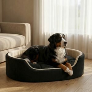 dog bed, premium dog bed, orthopedic dog bed, soft dog bed, pet bed for dogs, comfortable dog bed, washable dog bed, dog bed with cushion, premium orthopedic dog bed for large dogs, soft and comfortable dog bed with cushion, durable dog bed with PU foam support, luxury pet bed for small and medium dogs, breathable dog bed for summer and winter, stylish modern dog bed for home, lightweight dog bed easy to carry, dog bed with bone shape pillow, buy dog bed online India, best dog bed for home use, affordable premium dog bed, high quality pet bed India, dog bed under budget, cozy dog bed, luxury pet comfort bed, soft plush dog bed, designer dog bed, pet sleeping bed, dog sofa bed, dog lounger bed, pet sofa bed, round dog bed, donut dog bed, calming dog bed, anti anxiety dog bed, raised edge dog bed, bolster dog bed, dog bed with side support, dog bed with high walls, puppy bed, small dog bed, medium dog bed, large dog bed, extra large dog bed, indoor dog bed, home pet bed, dog sleeping cushion, thick padded dog bed, fluffy dog bed, soft foam dog bed, PU foam dog bed, fiber filled dog bed, eco friendly dog bed, skin friendly dog bed, hypoallergenic dog bed, non toxic pet bed, durable pet bedding, long lasting dog bed, tear resistant dog bed, chew resistant dog bed, easy to clean dog bed, machine washable pet bed, removable cover dog bed, portable dog bed, travel dog bed, foldable dog bed, lightweight pet bed, luxury dog sofa, premium pet mattress, designer pet furniture, modern pet bed, aesthetic dog bed, comfortable pet mattress, pet relaxation bed, cozy pet nest, warm dog bed for winter, cool breathable dog bed for summer, all season dog bed, anti slip base dog bed, waterproof dog bed, indoor luxury pet bed, dog bed for crate, dog bed for living room, pet accessories dog bed, best selling dog bed, trending pet products, affordable pet bedding India, online pet supplies India